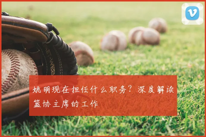 姚明现在担任什么职务？深度解读篮协主席的工作