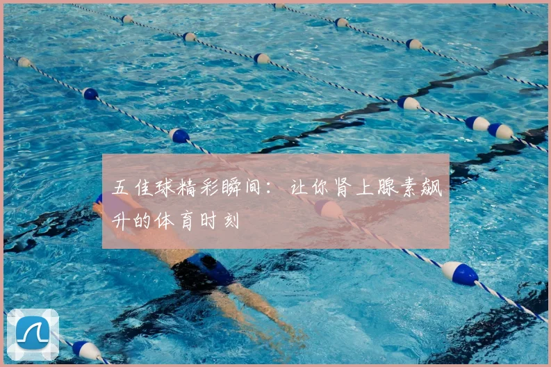 五佳球精彩瞬间：让你肾上腺素飙升的体育时刻